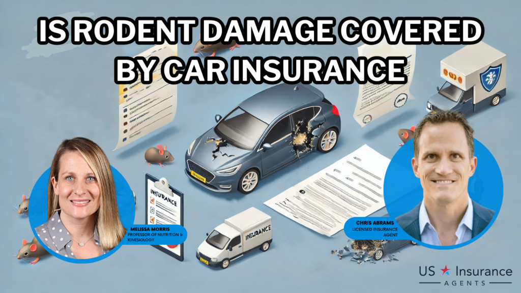 is rodent damage covered by auto insurance?